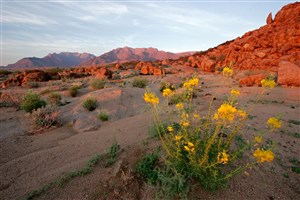  Namibie - 4