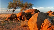 Namibie - barvy pouště s anglickým průvodcem