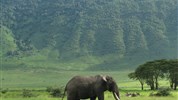 Luxusní Tanzanie - Tarangire, Ngorongoro a Serengeti s pobytem na Zanibaru