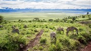 Luxusní Tanzanie - Tarangire, Ngorongoro a Serengeti s pobytem na Zanibaru