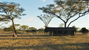 Luxusní Tanzanie - Tarangire, Ngorongoro a Serengeti s pobytem na Zanibaru