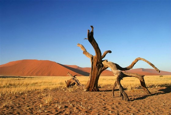 Namibie - barvy pouště s anglickým průvodcem - 