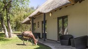 Kmeny severu Namibie a safari v NP Etosha (s českým průvodcem) - Namibie_zajezd_dovolena_exotika_Etosha_Mokuti Lodge_park