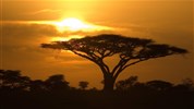 Luxusní safari v srdci velké migrace pakoňů a Zanzibar - Tanzanie-Serengeti-zapad-slunce