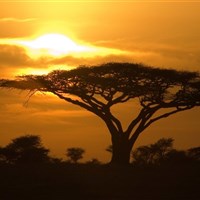 Lemala Ndutu Tented Camp 5* - Tanzanie-Serengeti-zapad-slunce - ckmarcopolo.cz
