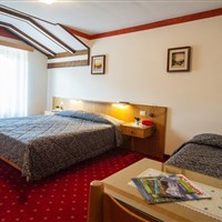 Hotel Stella Alpina & Park Hotel Sancelso - ckmarcopolo.cz