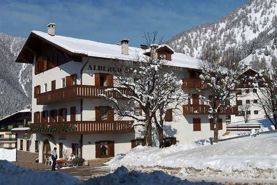 Marco Polo - Hotel Stella Alpina & Park Hotel Sancelso - 