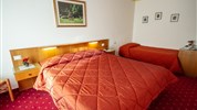 Hotel Stella Alpina & Park Hotel Sancelso ***