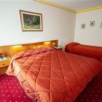 Hotel Stella Alpina & Park Hotel Sancelso - ckmarcopolo.cz