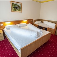 Hotel Stella Alpina & Park Hotel Sancelso - ckmarcopolo.cz