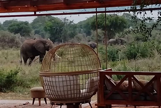 Marco Polo - Pakuba Safari Lodge Murchinson  4* - Uganda_Murchinson_Pakuba Safari Lodge