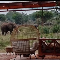 Pakuba Safari Lodge Murchinson  4* - Uganda_Murchinson_Pakuba Safari Lodge - ckmarcopolo.cz