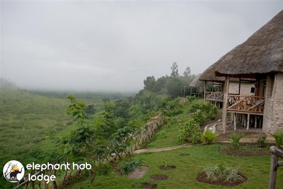 Marco Polo - Elephant Hab Lodge - Elephant Hab Lodge