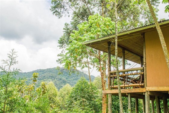 Marco Polo - Ichumbi Gorilla Lodge - Ichumbi Gorilla Lodge