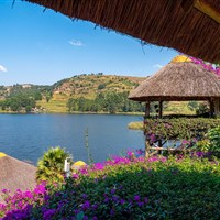 BirdNest Resort - BirdNest Resort - ckmarcopolo.cz