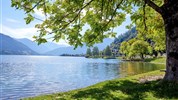 Fish Inn Zell ****