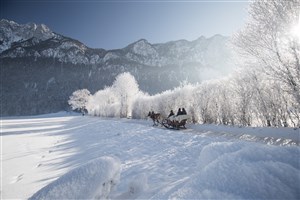  Rakousko - 46