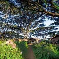 Lemala Ngorongoro Tented Camp 5* - anzanie_Ngorongoro_Lemala Ngorongoro Tented Camp - ckmarcopolo.cz