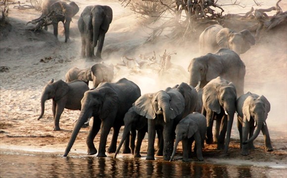 Marco Polo - Selous (Nyerere) – chráněná oblast - informace