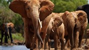 Safari v krajině červených slonů a pobyt u moře - Kena-Tsavo-East-