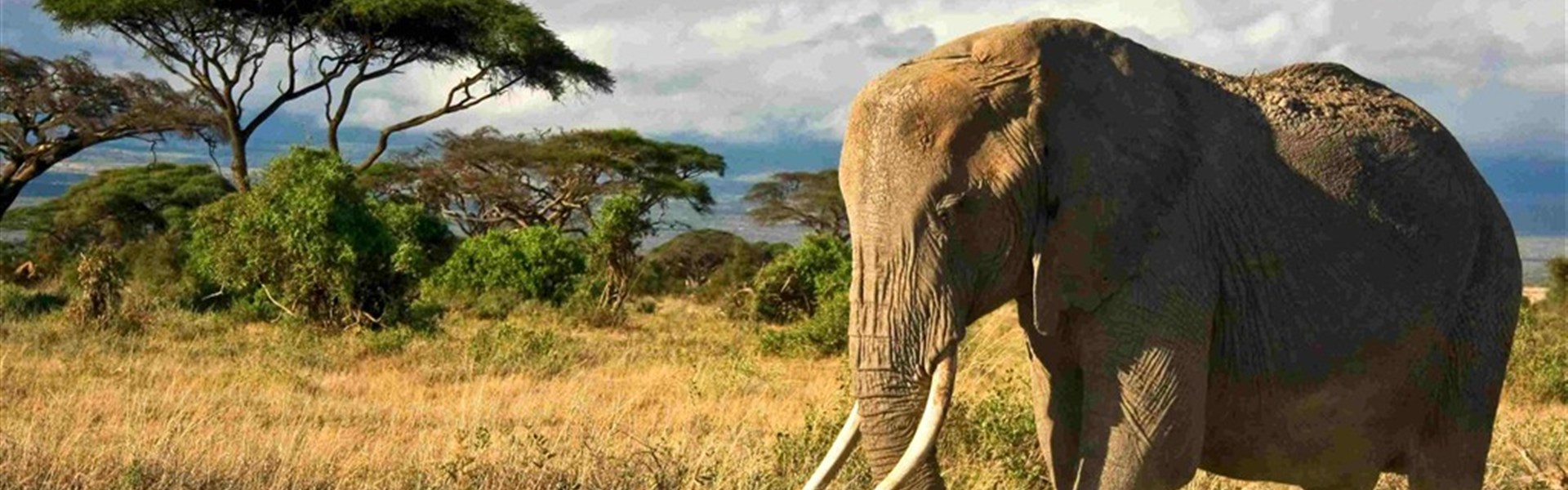 Ve stínu Kilimanjara - Dovolená na safari v Keni a pobyt u moře - český průvodce - léto 2026 - Keňa_Amboseli_Kilimandžáro