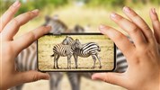Safari v krajině červených slonů a pobyt u moře - Keňa_Tsavo_Family safari.
