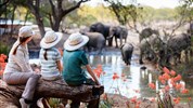Tanzanie – Safari v Tarangire a Ngorongoro + setkání s kmeny u jezera Eyasi - Tanzanie_Tarangire_family safari