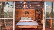 Ráj slonů v Tarangire a úchvatný kráter Ngorongoro a pobyt na Zanzibaru - anzanie_Karatu_Foresight Eco Lodge