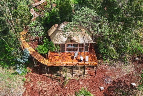Marco Polo - Foresight Eco Lodge 3* plus - anzanie_Karatu_Foresight Eco Lodge