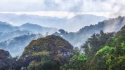 Rwanda - Skrytý klenot Afriky - Rwanda_Nyungwe