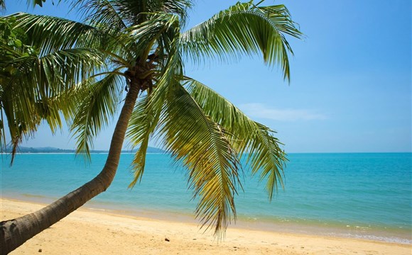 Marco Polo - Thajský ostrov Samui už není to, co býval. Přesto ale stále stojí za to