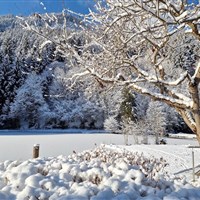 Hotel Bad Neunbrunnen (W) - ckmarcopolo.cz